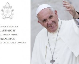 Descarga la Encíclica del Papa Francisco «Laudato Si»